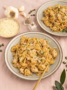 One Pot French Onion Orzo with Chicken for Cozy Weeknights